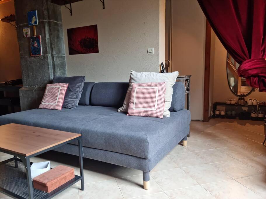 Chateau D'Uriage - Duplex Avec Terrasse Privative Saint-Martin-d'Uriage ภายนอก รูปภาพ